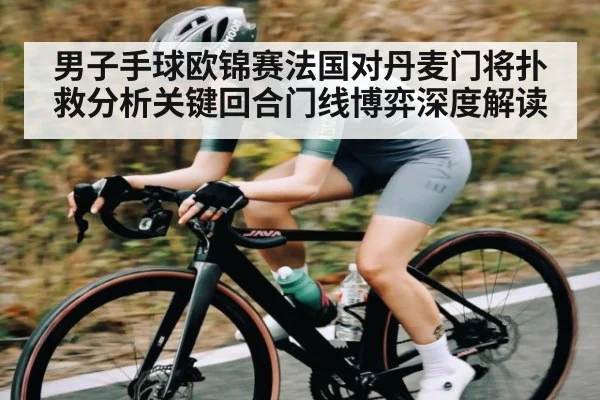 男子手球欧锦赛法国对丹麦门将扑救分析关键回合门线博弈深度解读